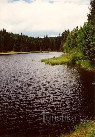 Žďárské lake: Žďárské lake