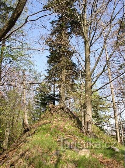 qui sorgeva un castello gotico