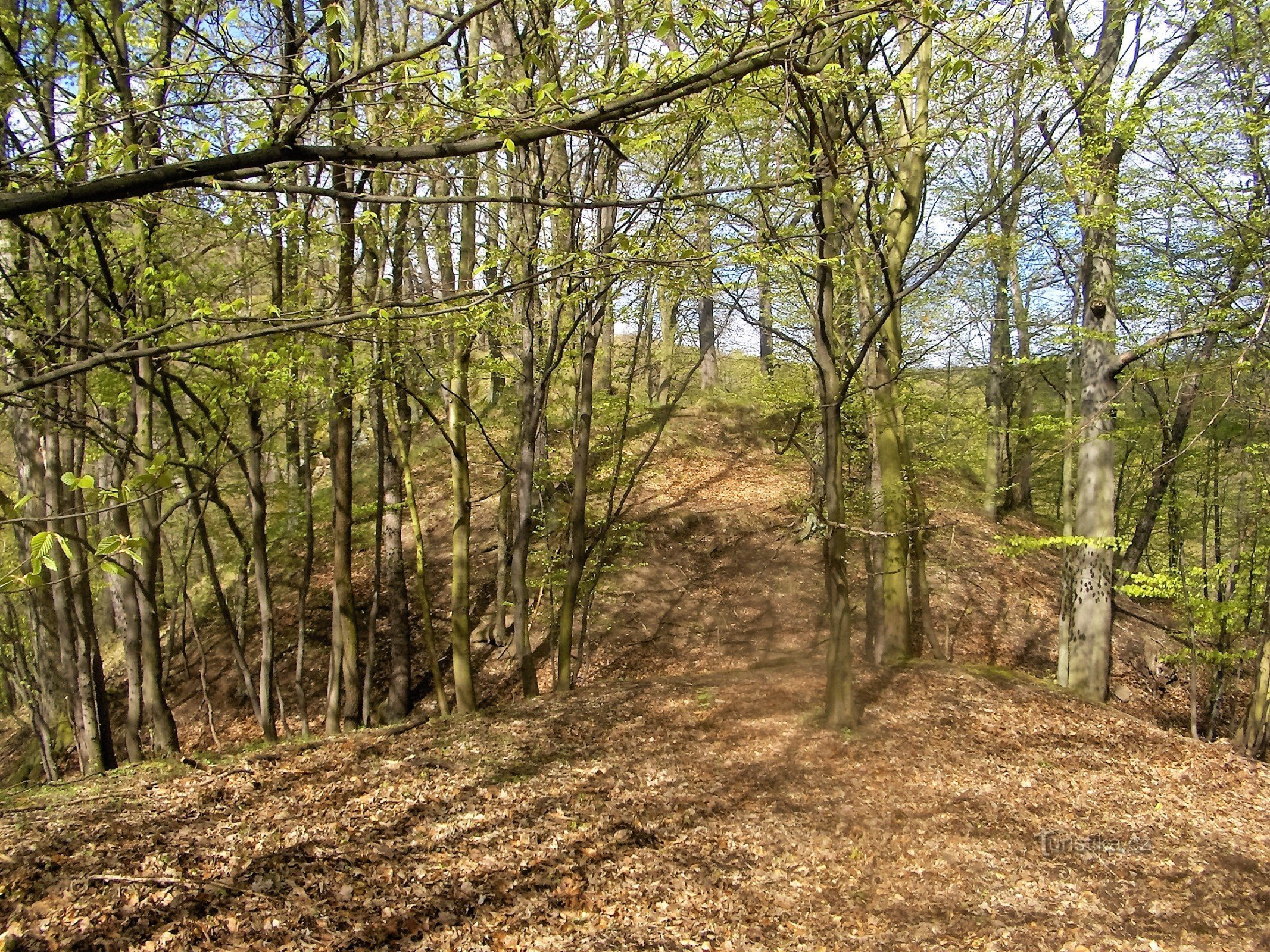 Hier stand die Burg Leština