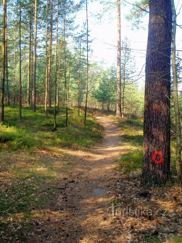 Hier beginnt der Wanderweg