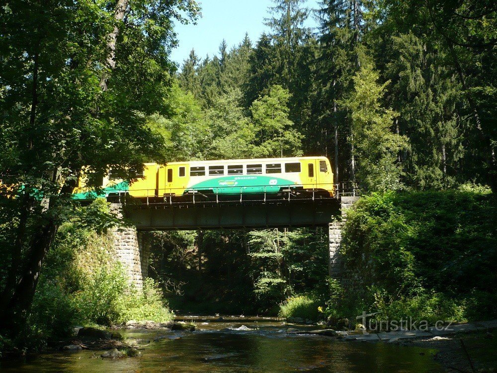 Dobnice med Pekelcem in Rybno