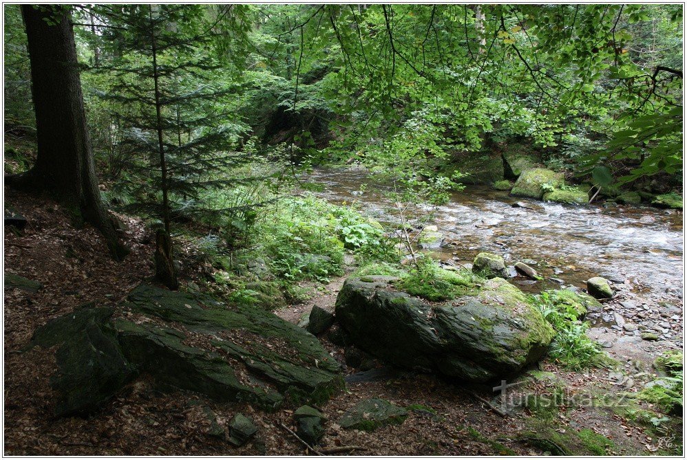 Formteile unter dem Weeping Rock