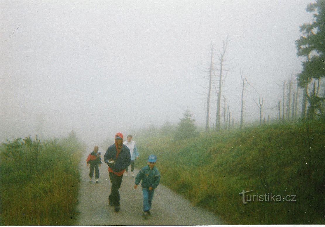 Nebbia decorativa