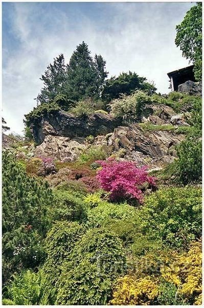 Um passeio saudável pelo Castelo de Průhonice