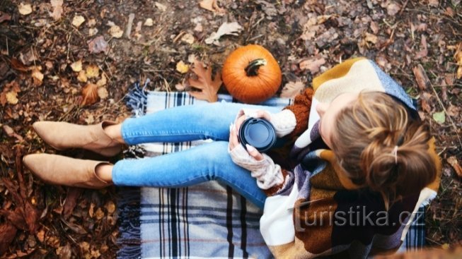 vir: arbomedia, ilustrativni foto piknik