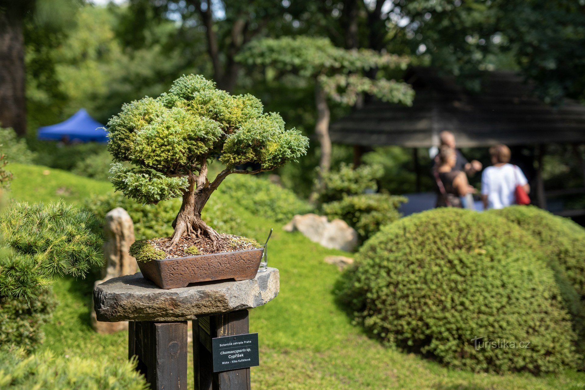 fonte da foto botanicka.cz