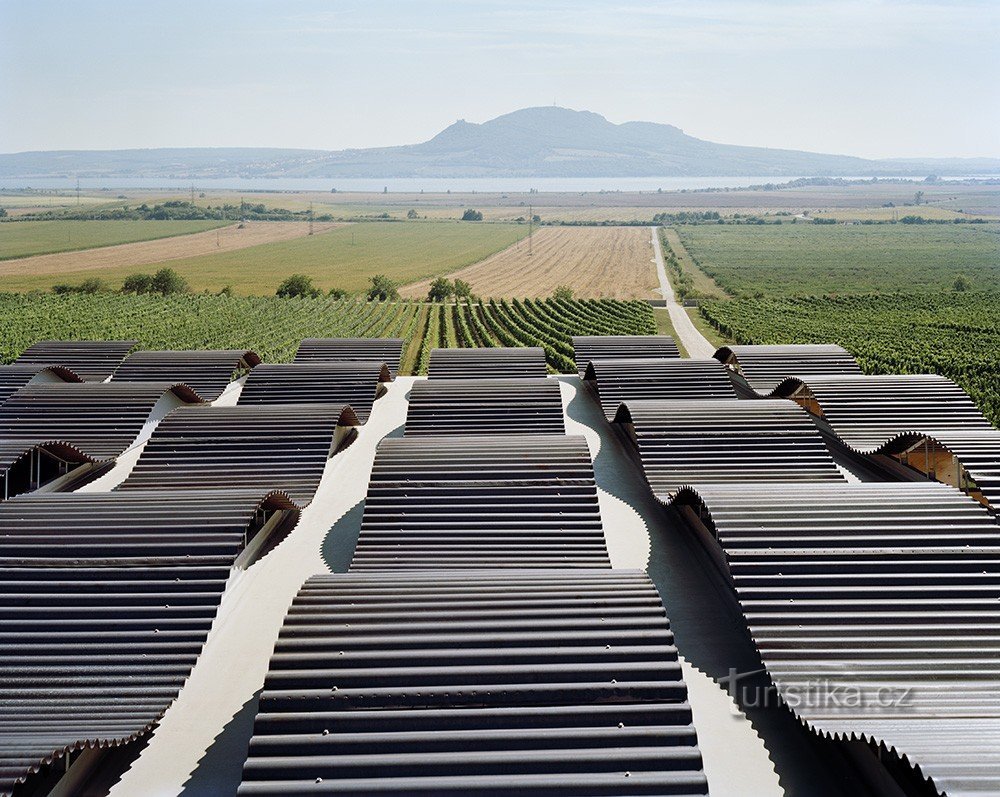 izvor fotografije: vinarija Sonberk; www.sonberk.cz