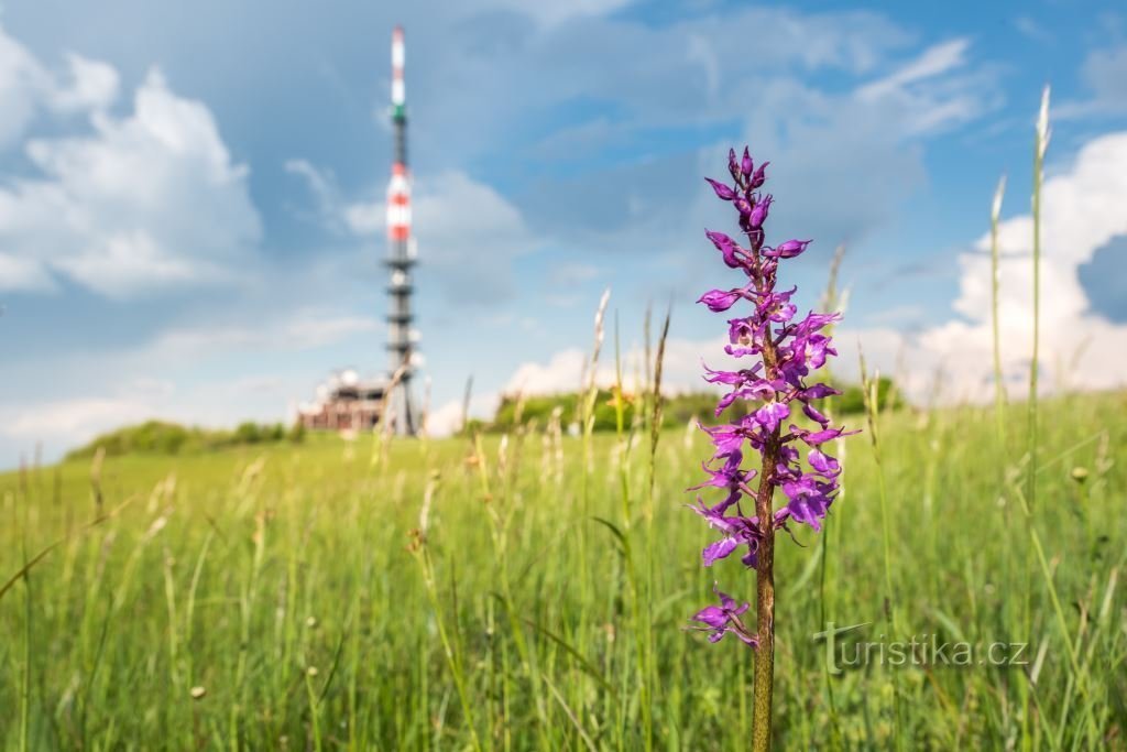 Izvor fotografije: arhiv IC Strání, Grafik Art/Jiří Zerzáň