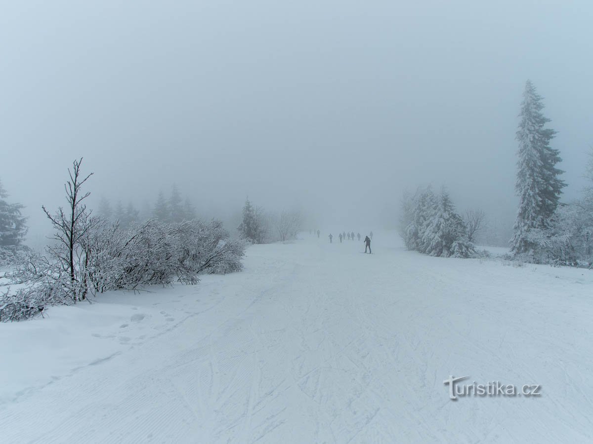 Nous sommes habitués à ce qu'il y ait du brouillard à Šerlich