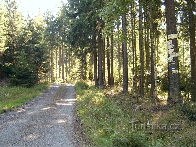 Von Nordwesten: Blick auf den Wegweiser von Nordwesten, wir blicken auf die Abzweigung nach rechts