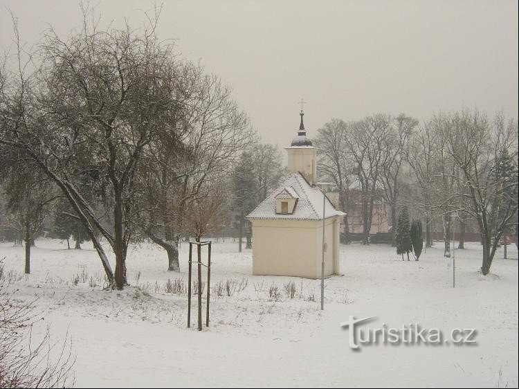 З півночі