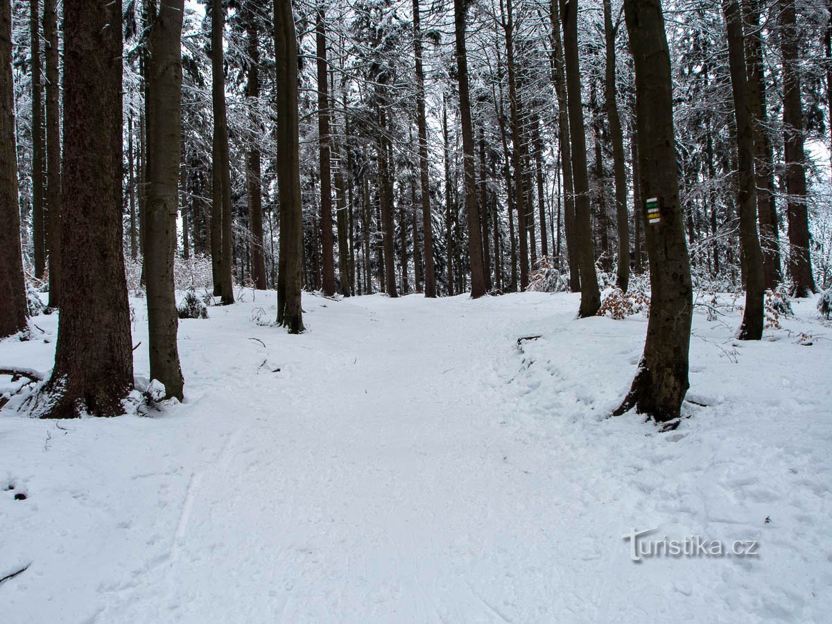 From Skrítek to Skrítek, around Ostružná