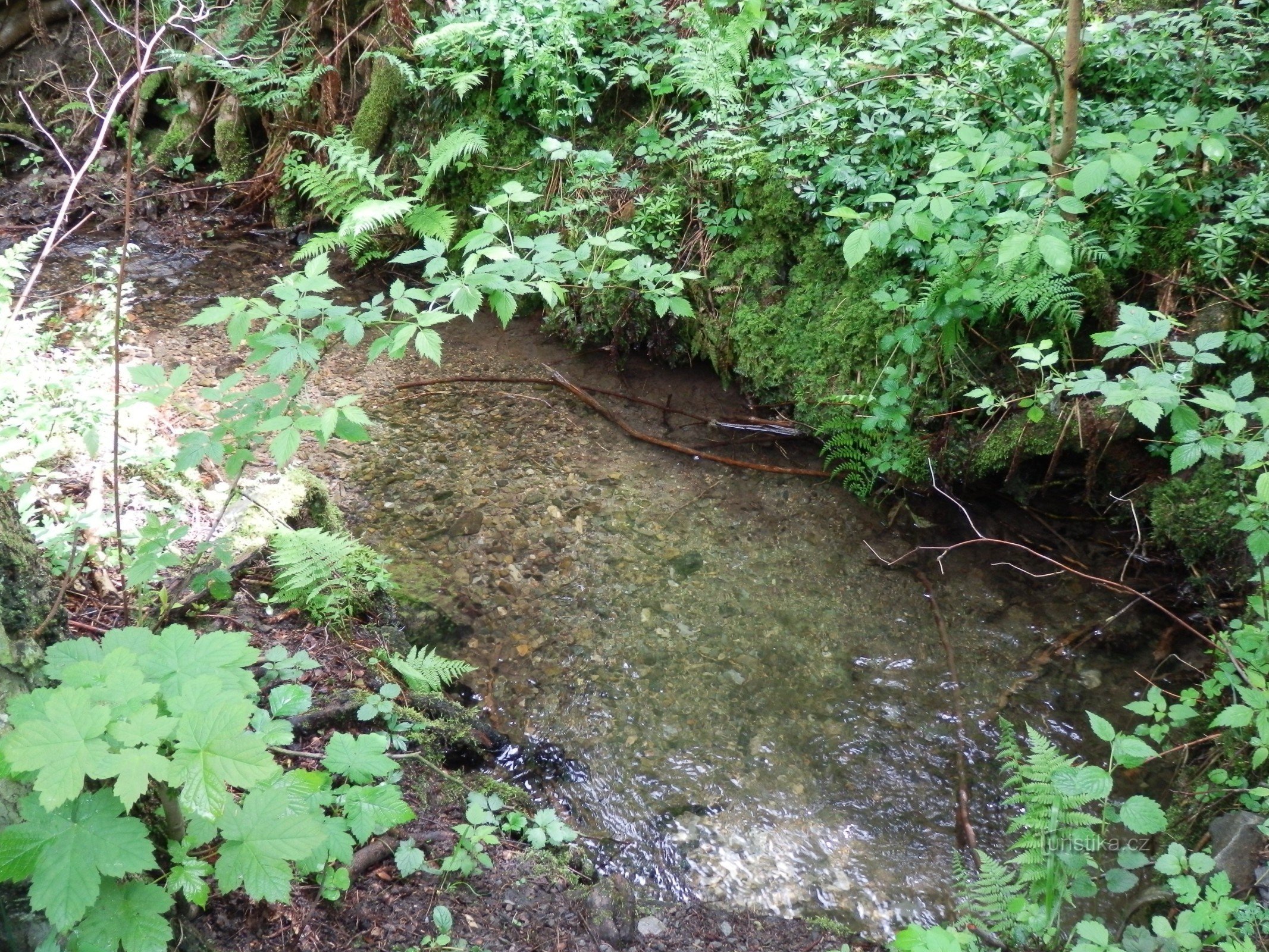 Von Sloup nach Boskovice