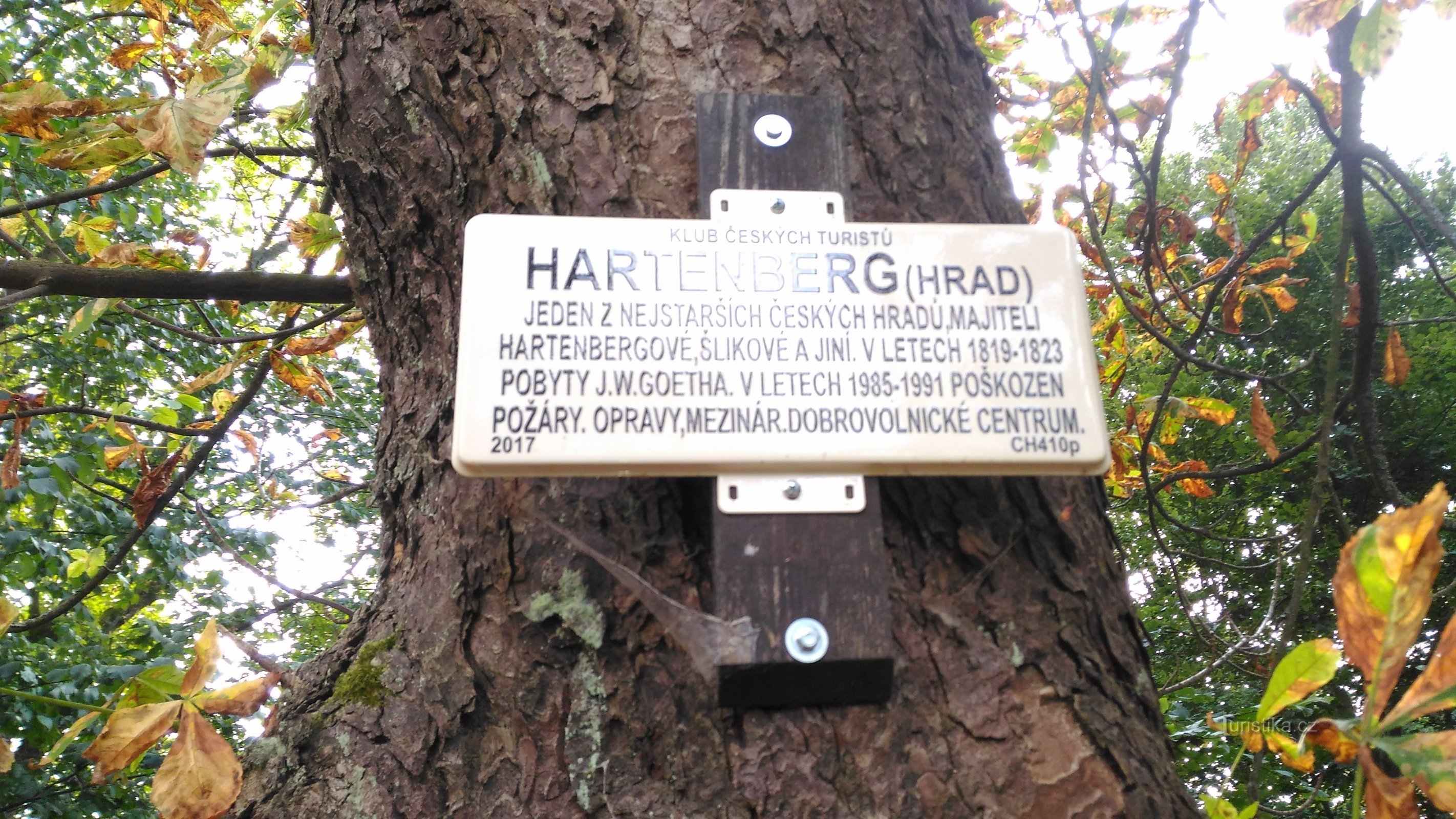 Od Sokołowa do ruin zamku Hartenberg.