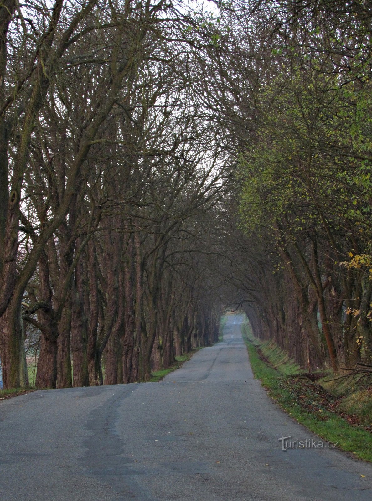 De la Stupava la Kozlov, la Castelul Cimburk și la Koryčany