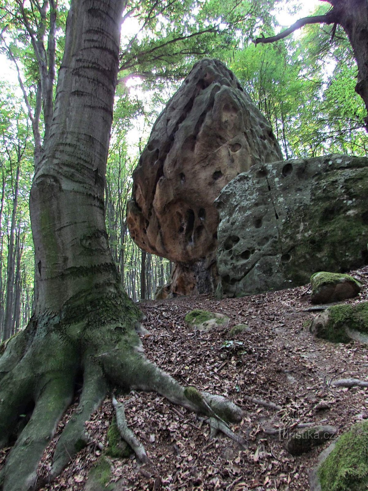 Fra en verden af ​​bizarre og hullede klipper i Chřib - del 1