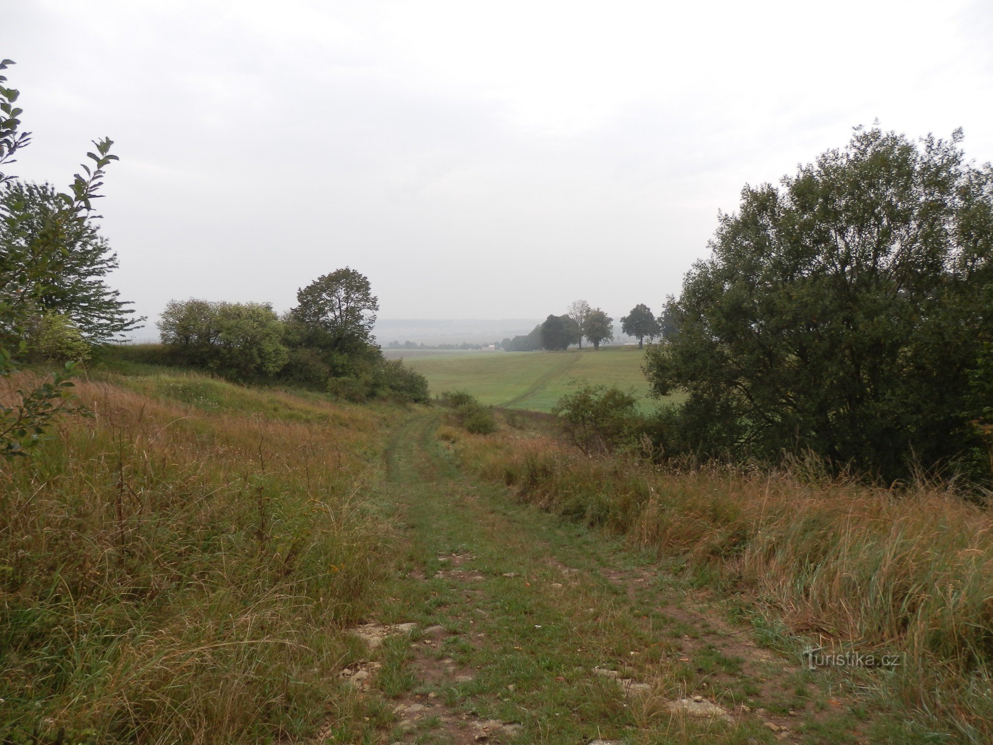 Desde Svitavy vía Hřebeč y Boršov hasta Moravská Třebová