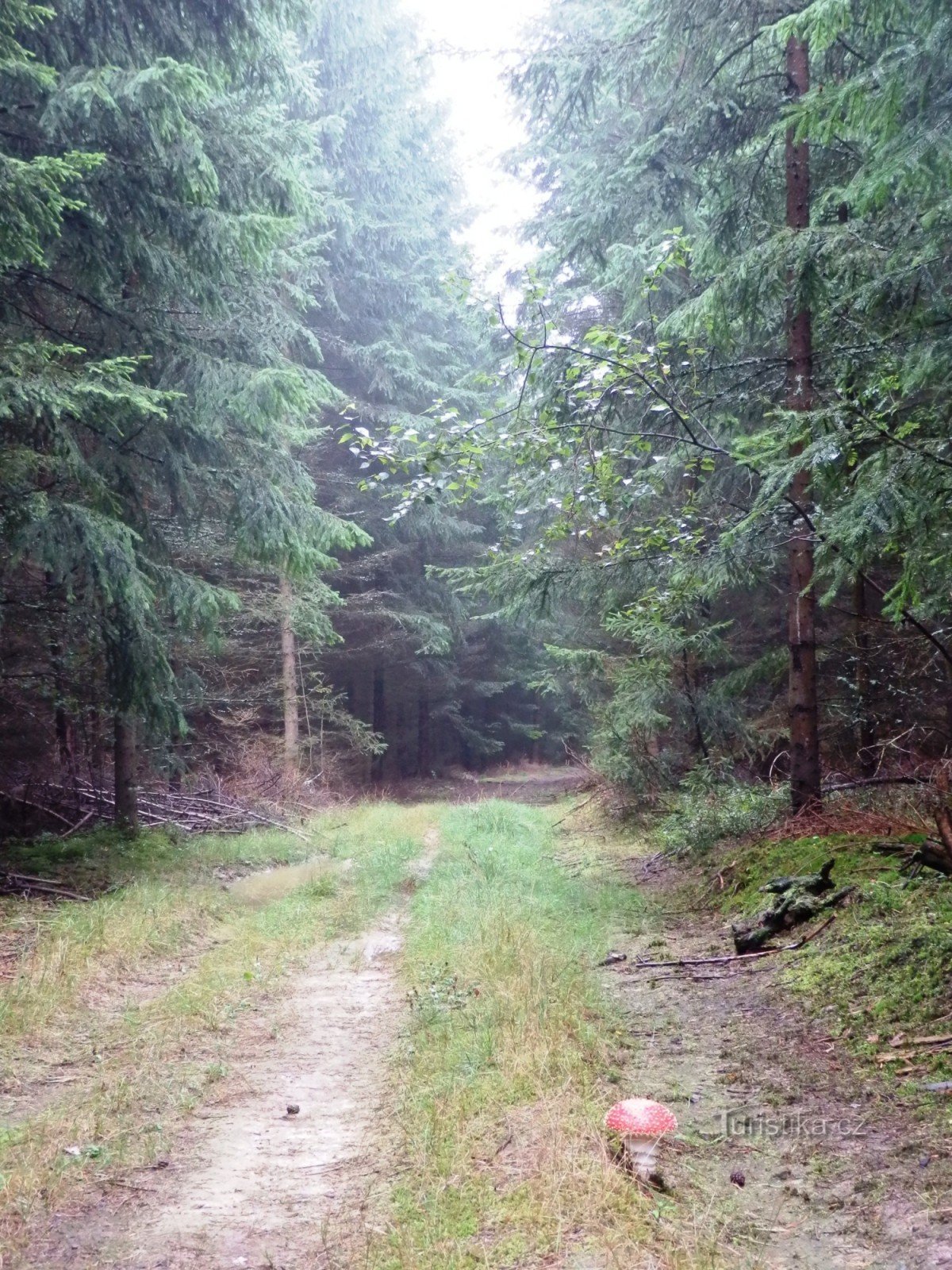 Od Svitavy skozi Hřebeč in Boršov do Moravská Třebová