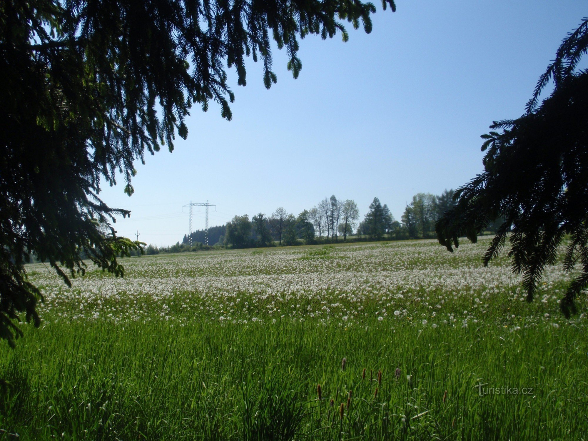 Z Žďára nad Sázavou do Nowego Miasta na Morawie