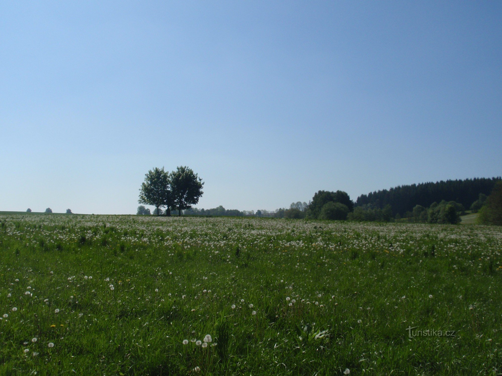 Od Žďár nad Sázavou do Nové Město na Moravi