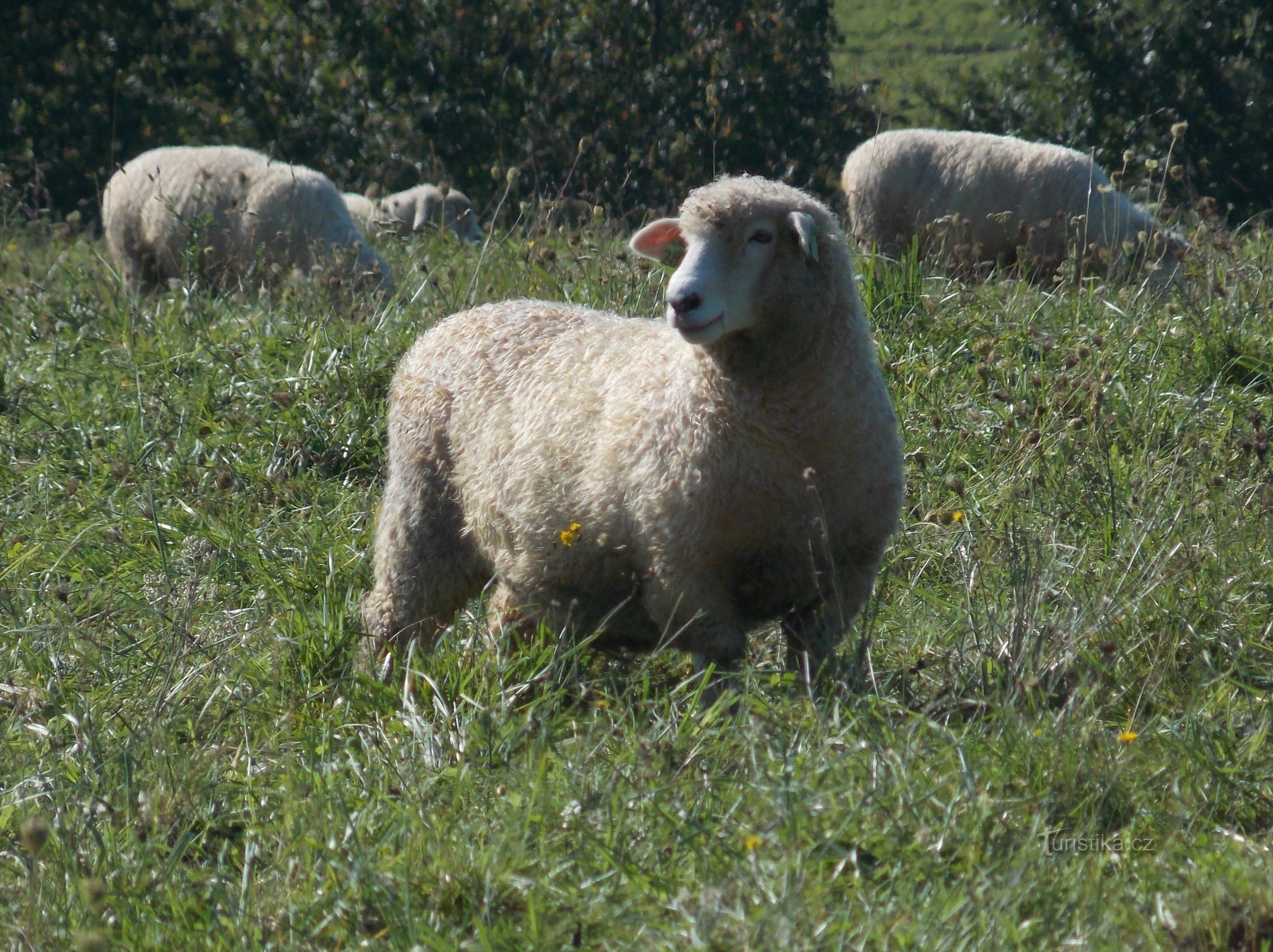 Ze Zlína do Velikovej, przez Hrobice do Slušovice