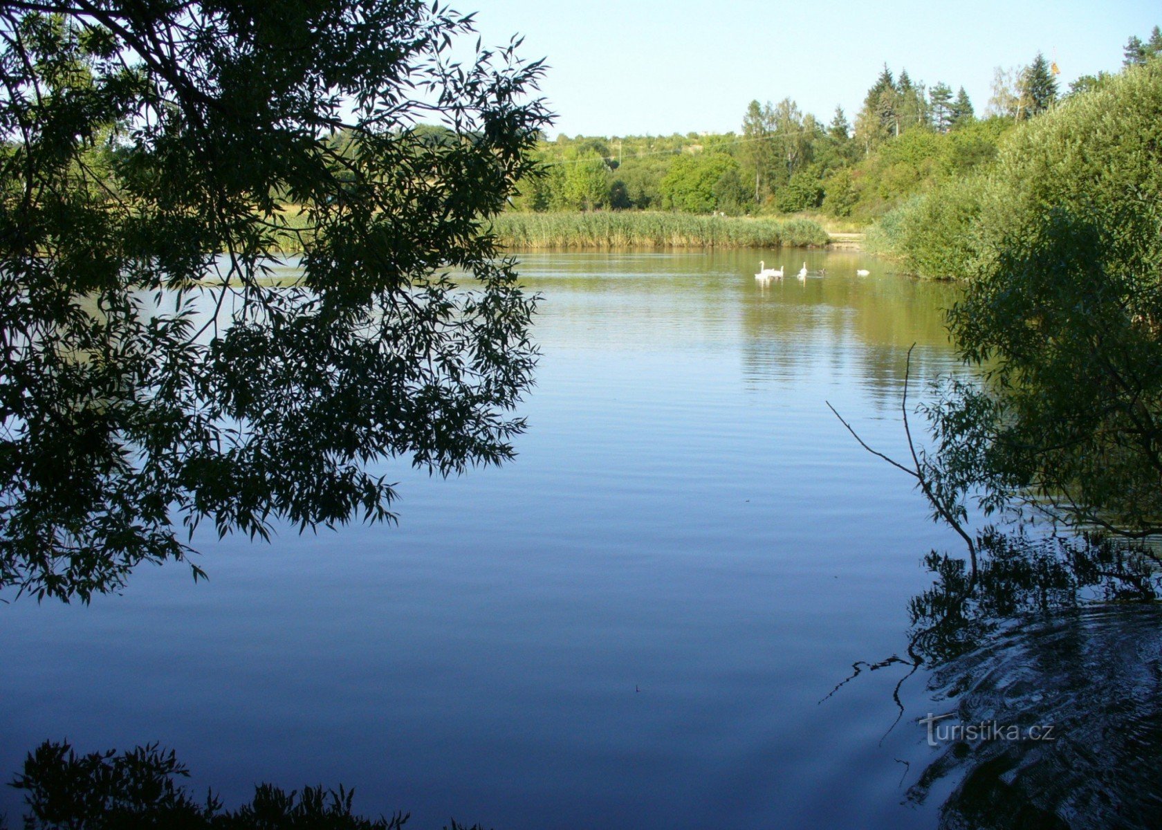 Žebětín Pond