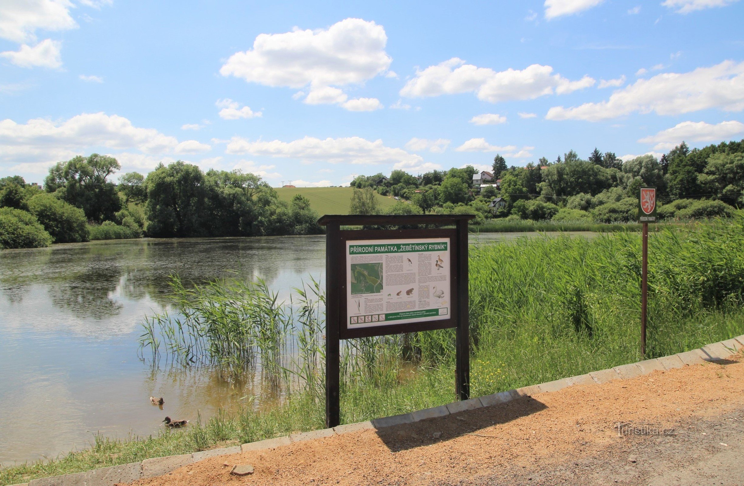 Žebětín Pond