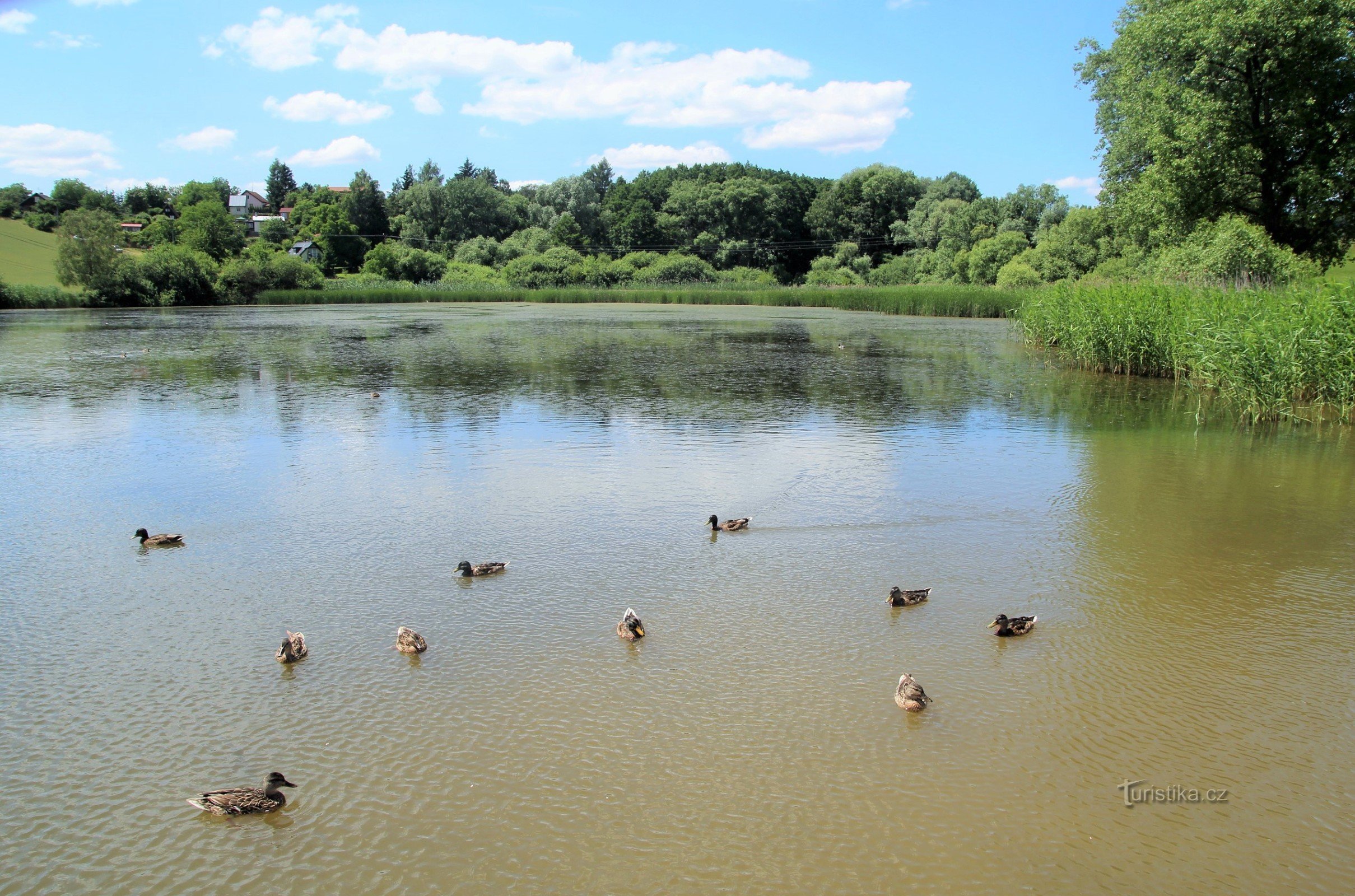 Teich Žebětín