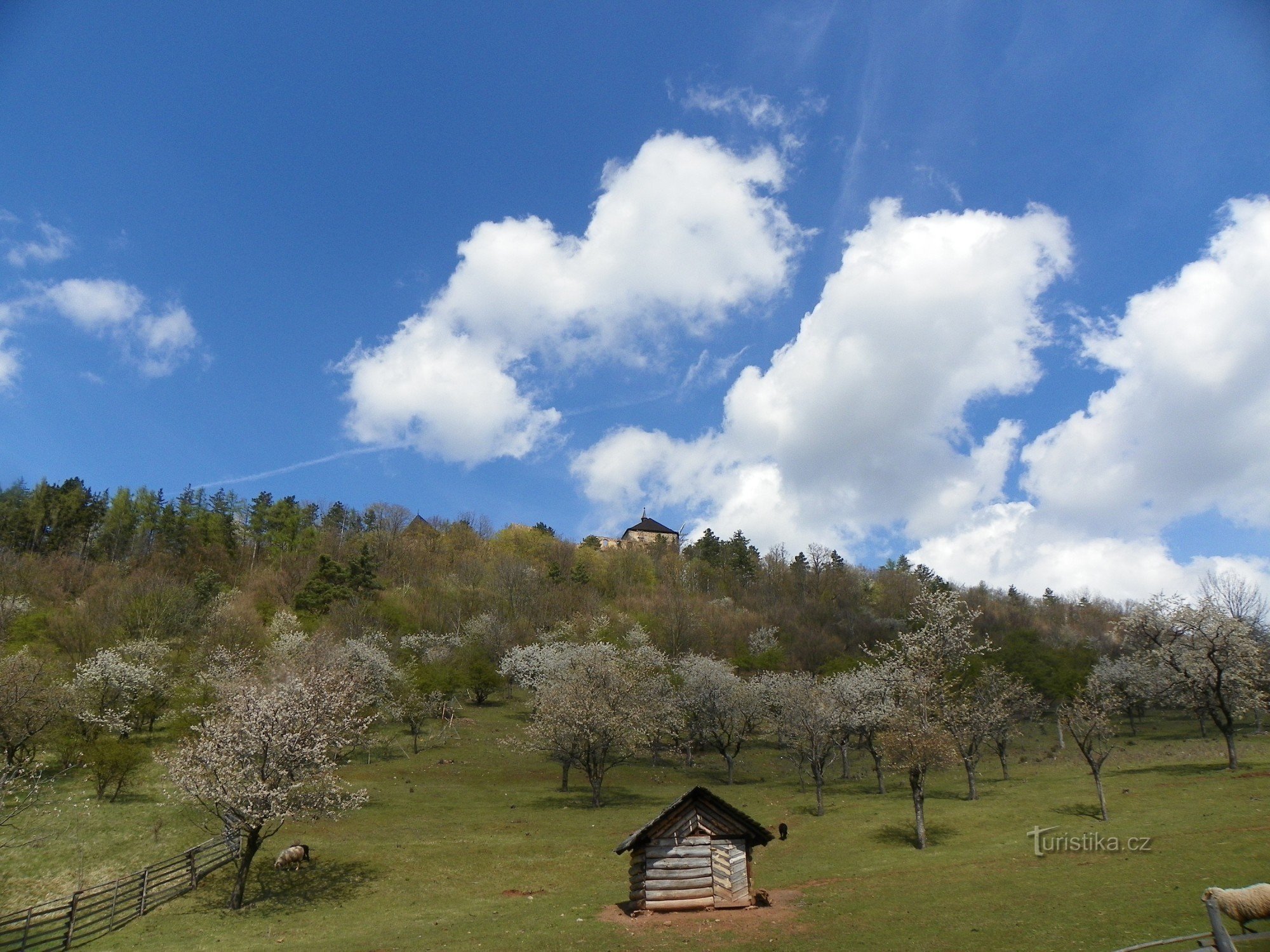 Żebrak i dzban