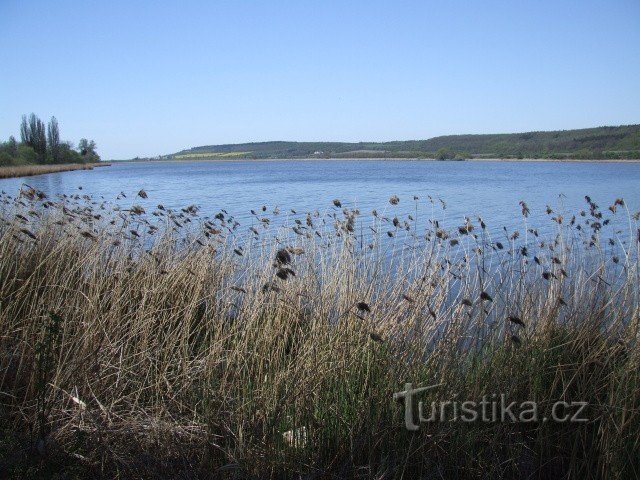 Žehuň pond