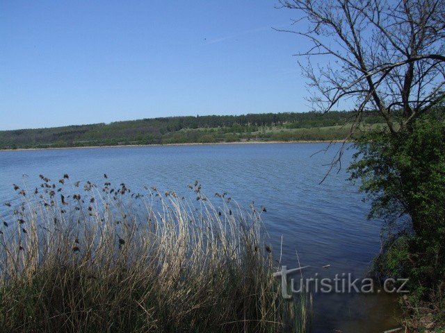 Žehuň pond