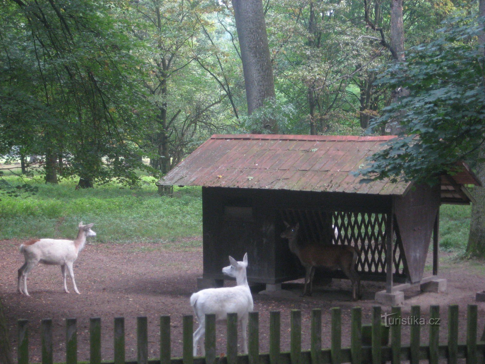 Riserva naturale di Žehušice