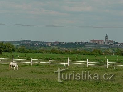 Zelčín