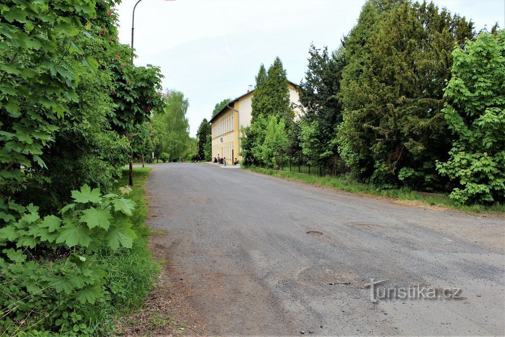 Greenery around the station