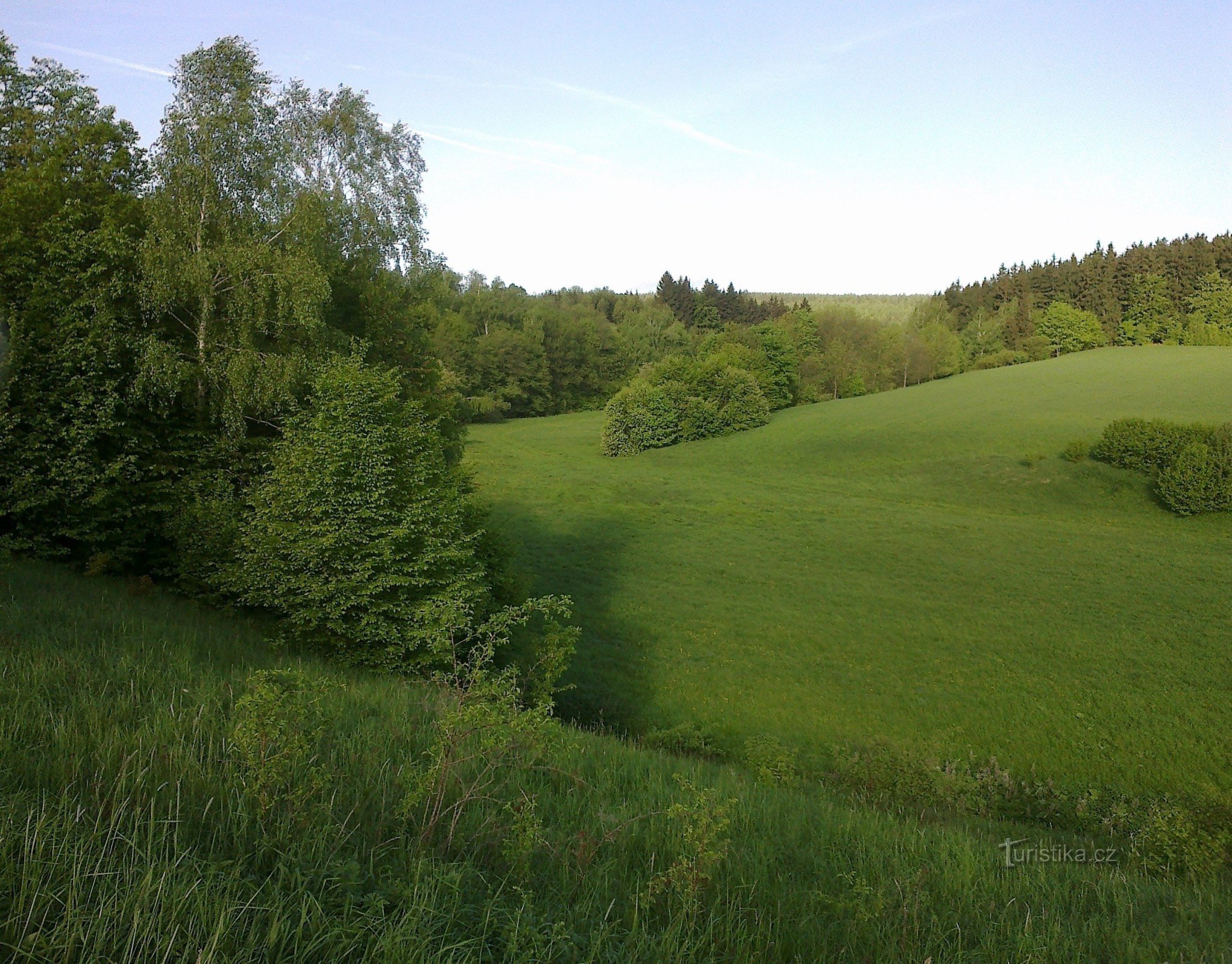 Mondo verde vicino a Hradisk I.