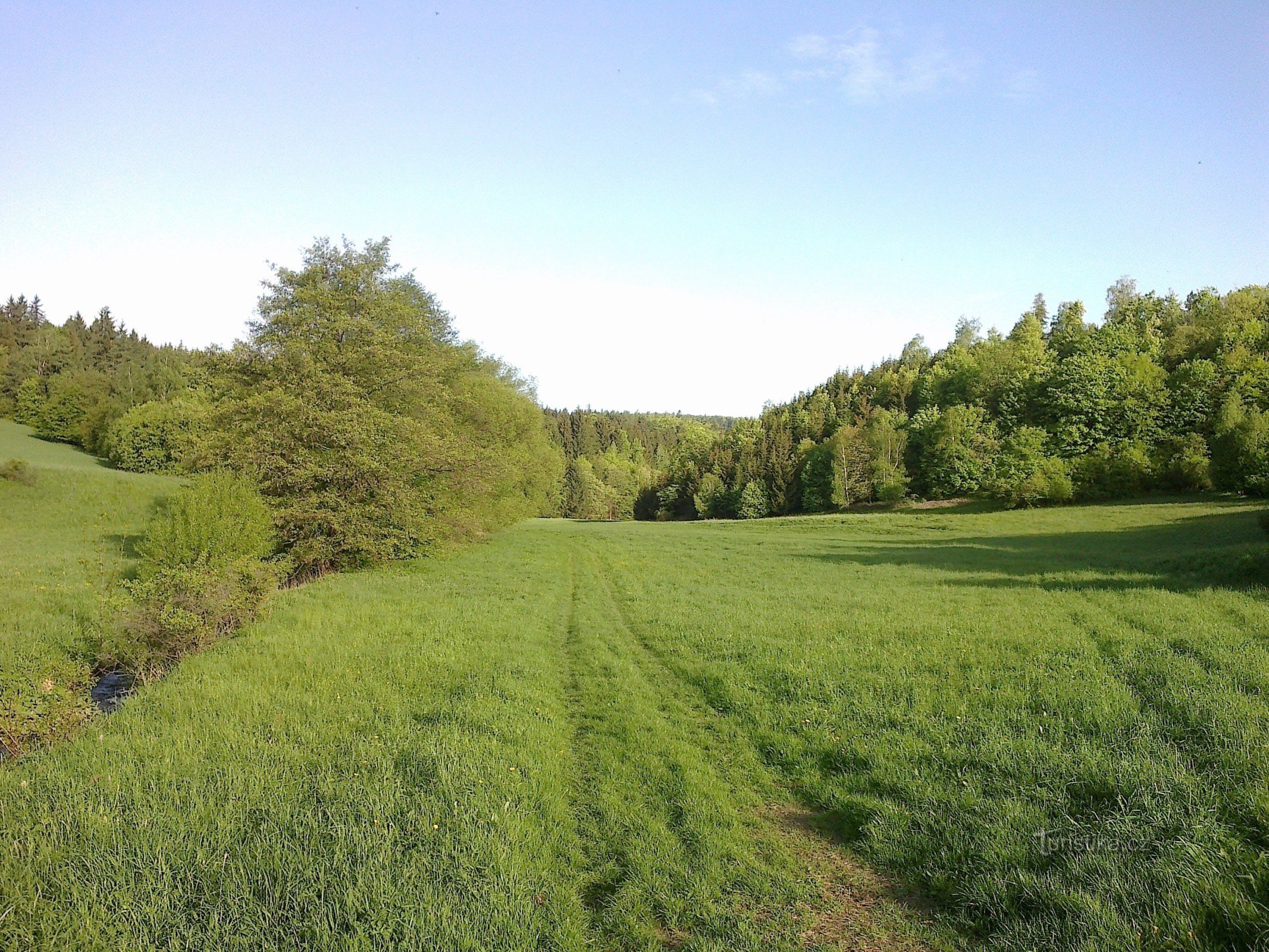 Πράσινος κόσμος κοντά στο Hradisk II.