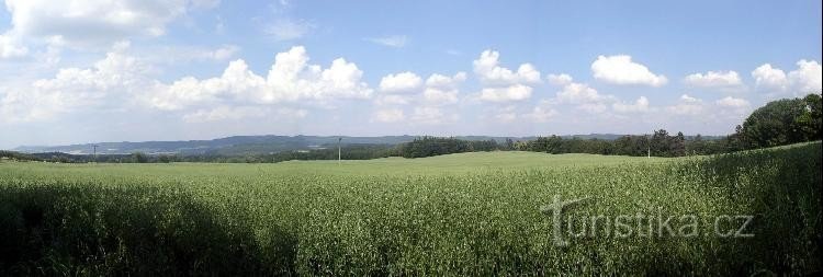 Železné hory: Näkymä Železné horylle Chotěbořská-linnan kujalta