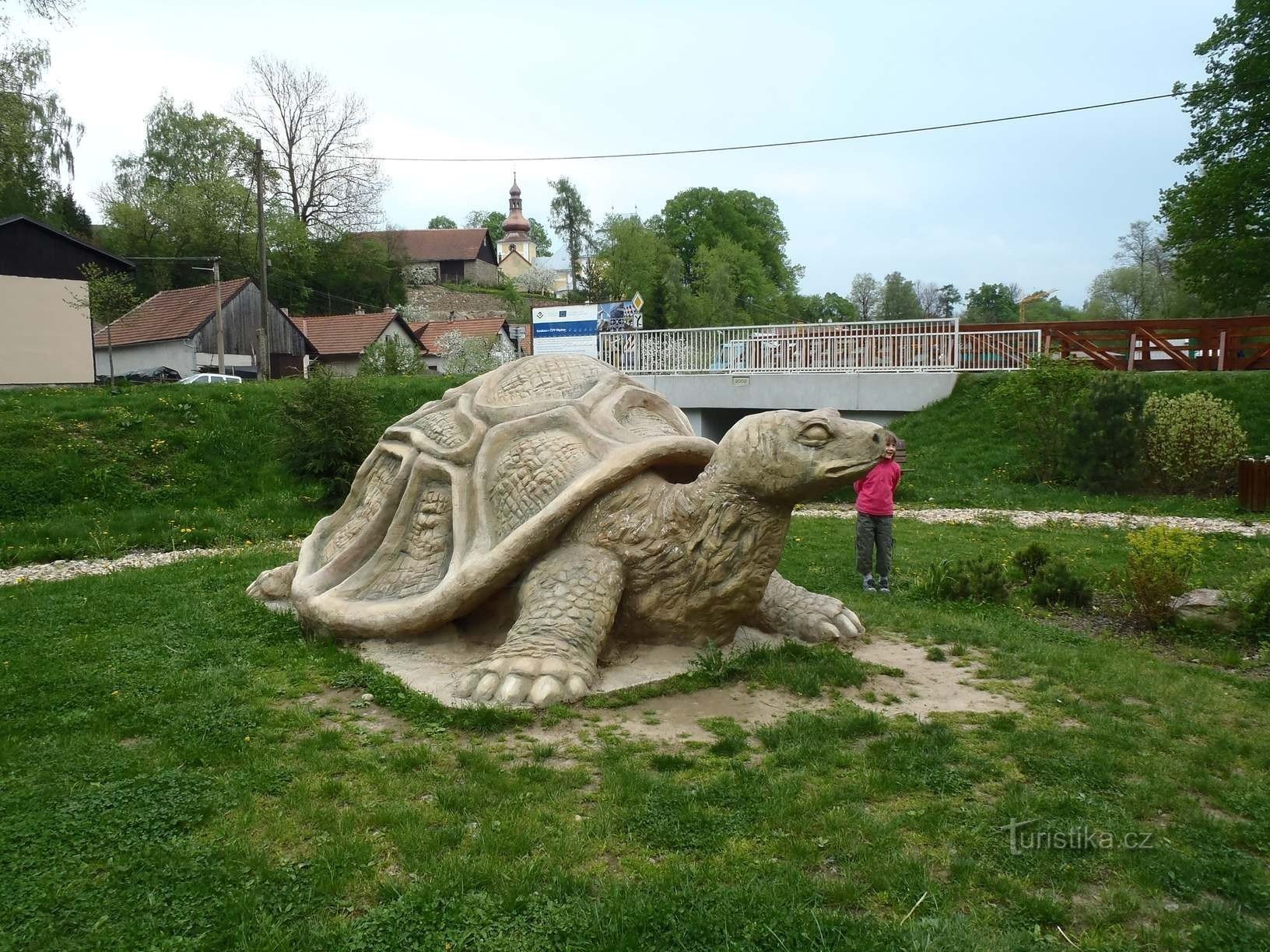 Tortue - 5.5.2012/XNUMX/XNUMX