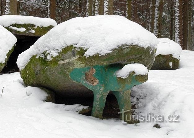 tartaruga: ao caminhar na floresta ao redor, você também encontrará uma tartaruga