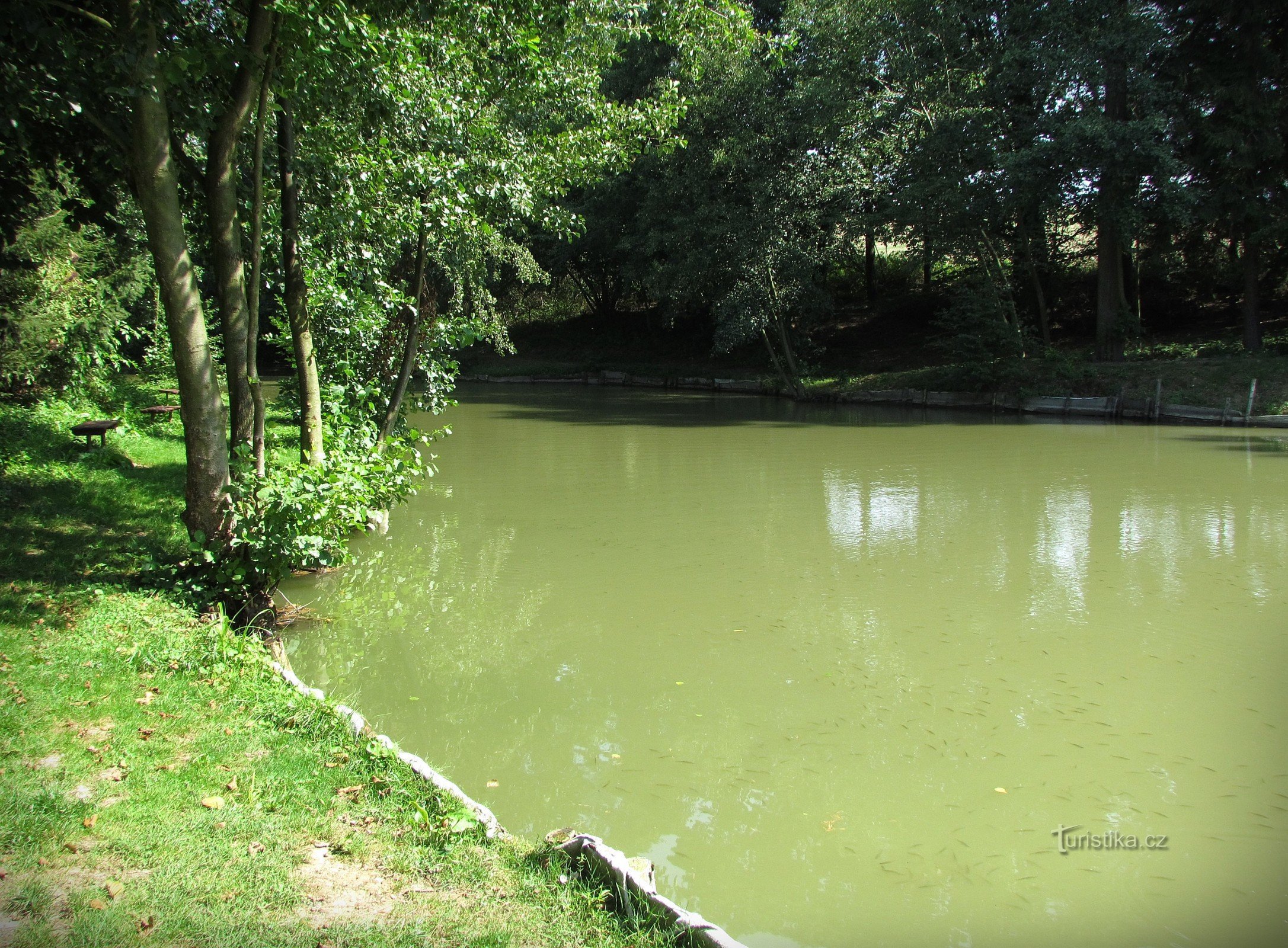 Žeranovické rybníky