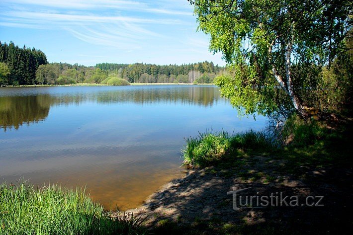 Zevlův rybník