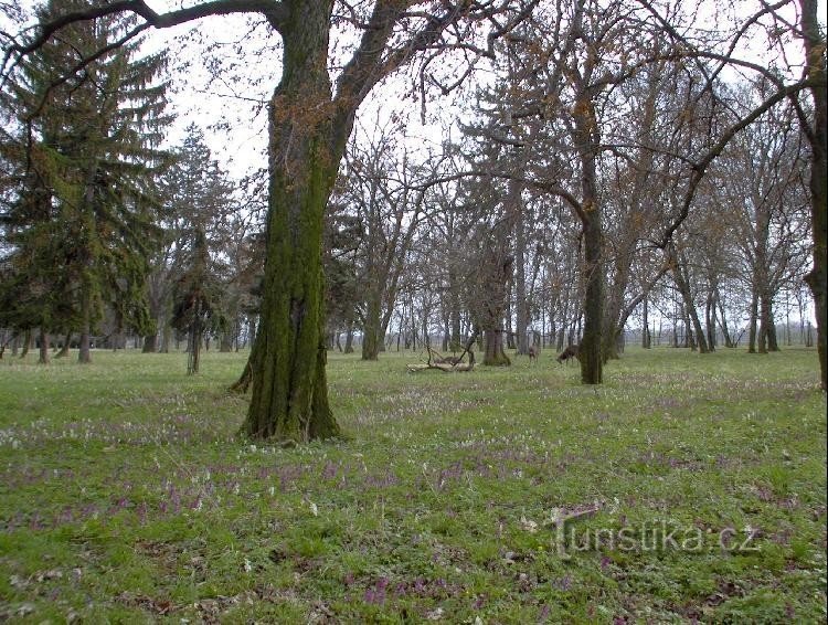 Parque del castillo de Židlochovice