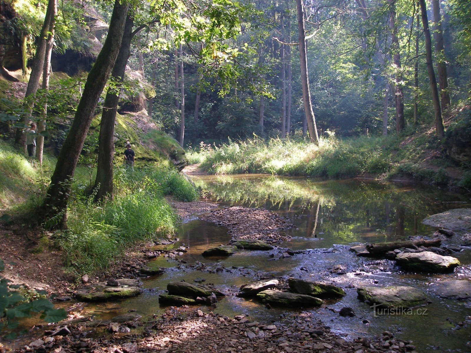 râpe à juif