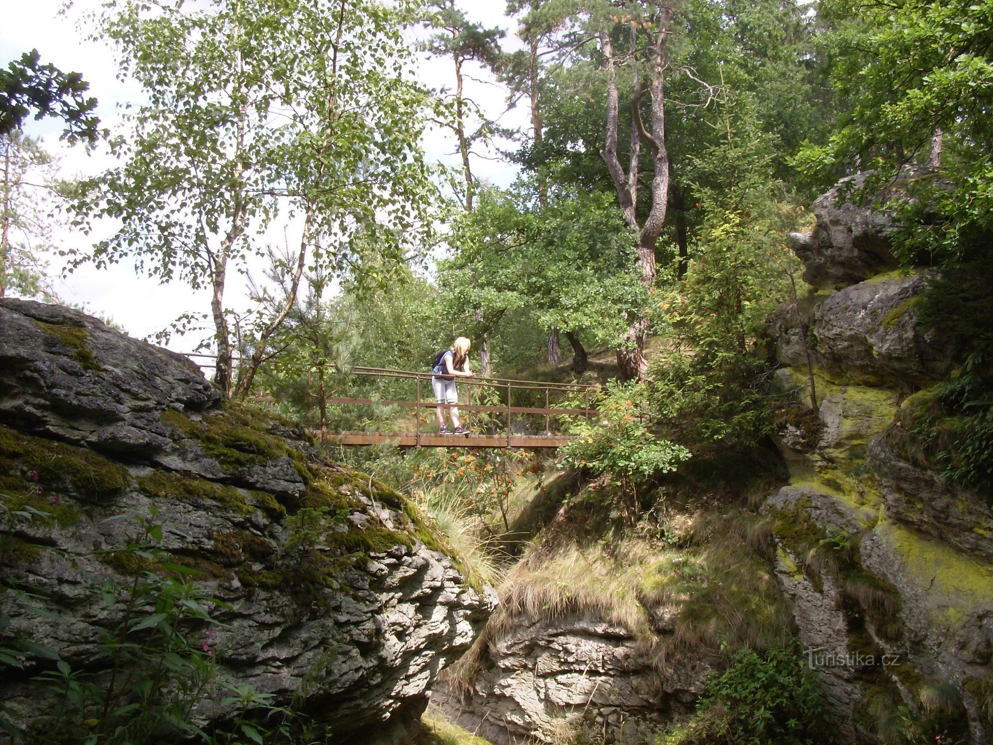 еврейская терка