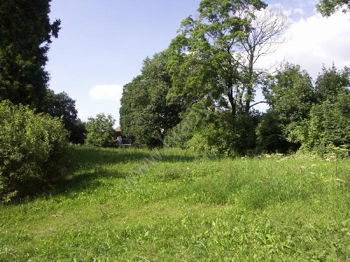 židovský hřbitov