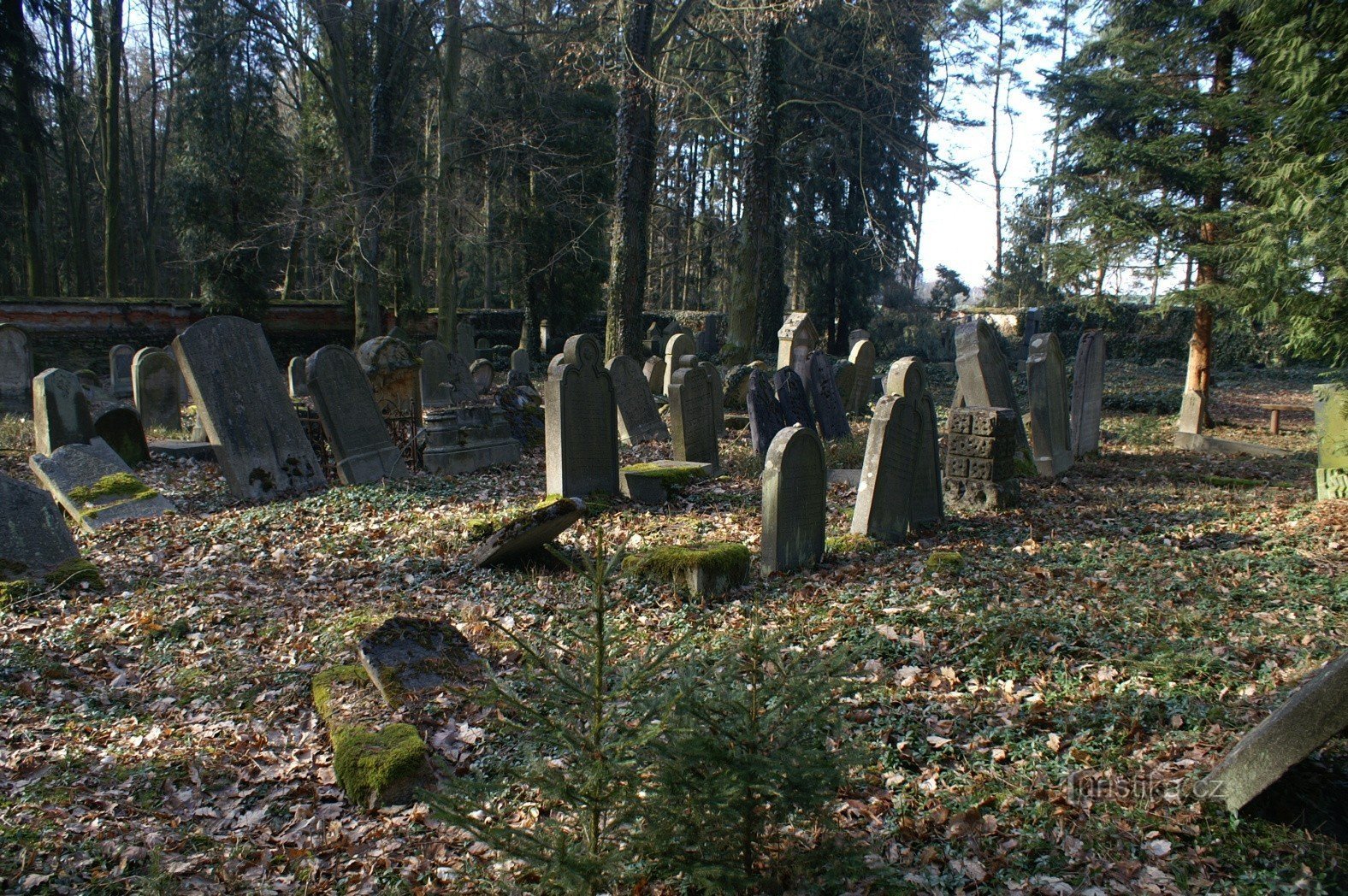 JÜDISCHER FRIEDHOF