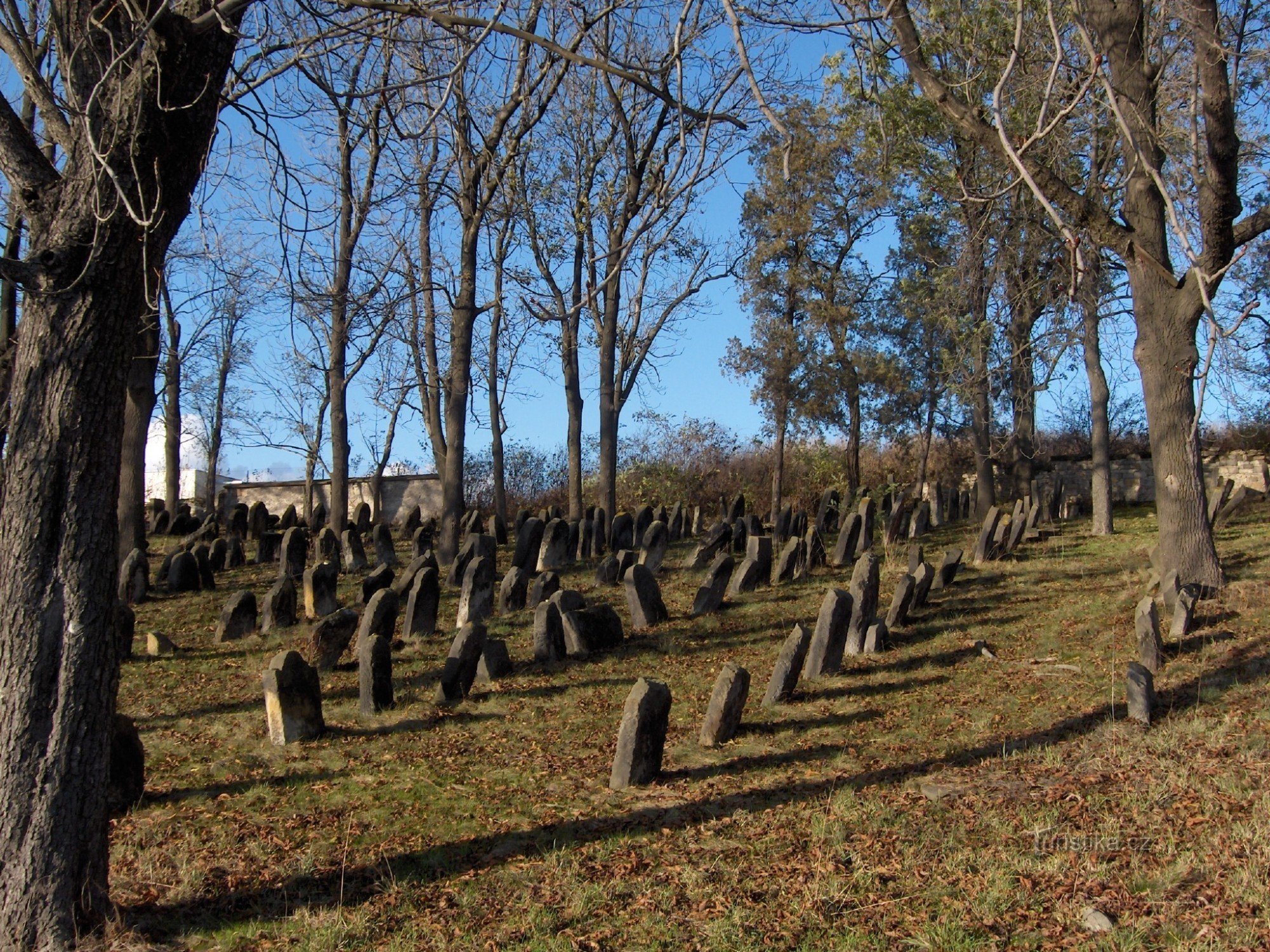 jødisk kirkegård