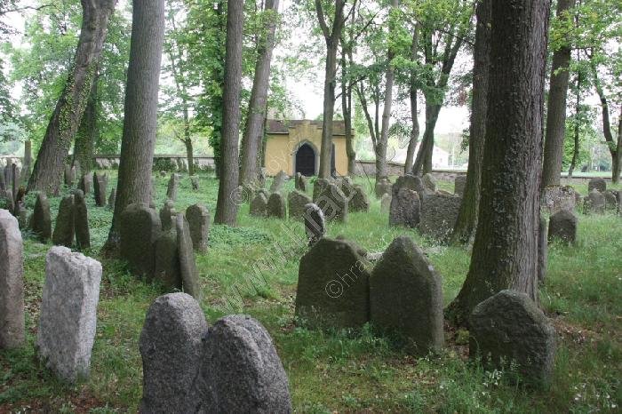 židovský hřbitov