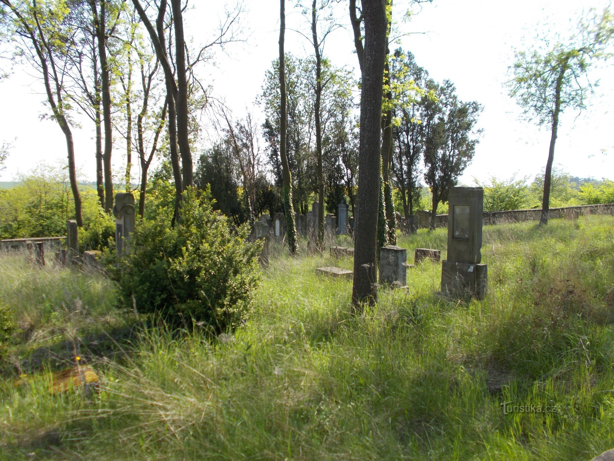 Jewish cemetery