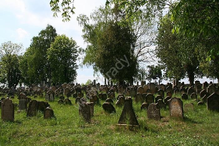 židovský hřbitov